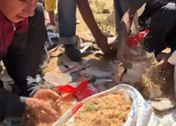 গাজায় বালুতে মিশে যাওয়া চাল কুড়াচ্ছেন ফিলিস্তিনিরা