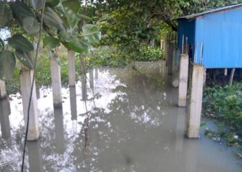 অপরিকল্পিত কালভার্টে অনাবাদি ৫০০ একর জমি