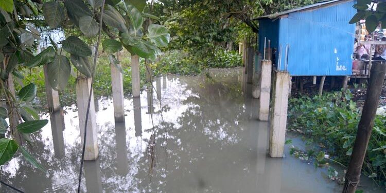 অপরিকল্পিত কালভার্টে অনাবাদি ৫০০ একর জমি